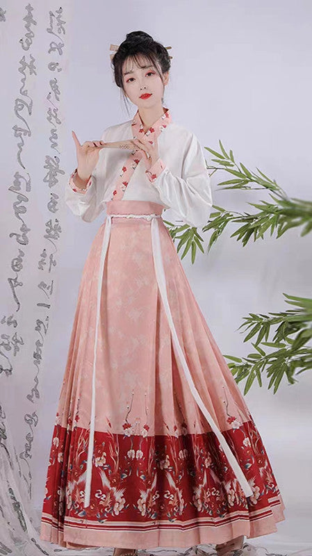 Moshanghuayu Ming Pink Hanfu Modern Mamian Qun Dress Suit