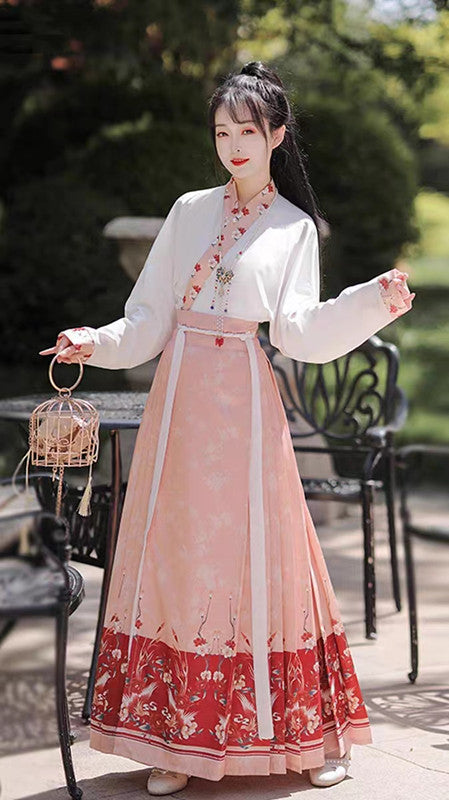 Moshanghuayu Ming Pink Hanfu Modern Mamian Qun Dress Suit