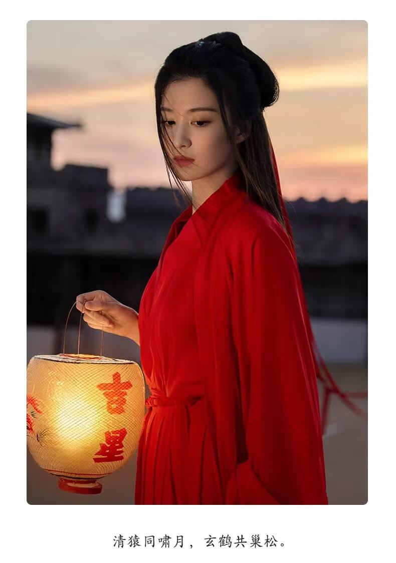 weijin wuxia hanfu